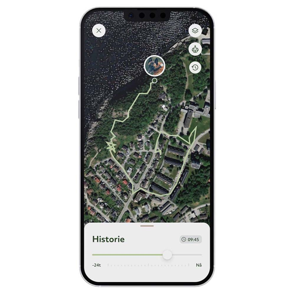 Lildog GPS til Hunden med Aktivitets Tracker Hvid